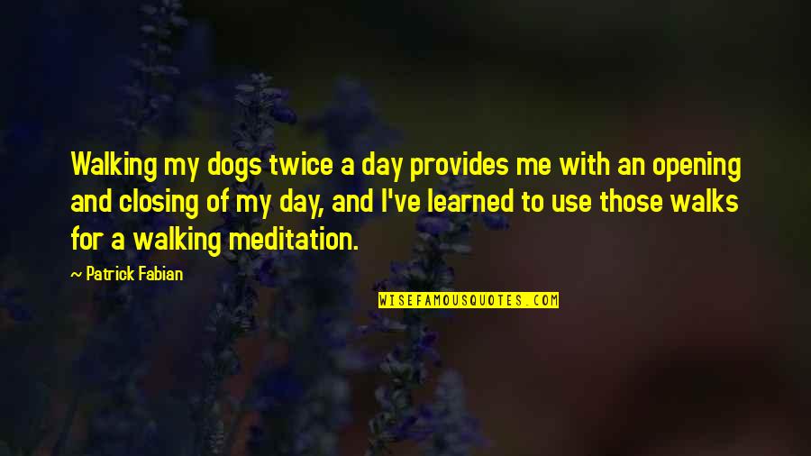 Walking My Dog Quotes By Patrick Fabian: Walking my dogs twice a day provides me Walking My Dog Quotes By Patrick Fabian: Walking my dogs twice a day provides me