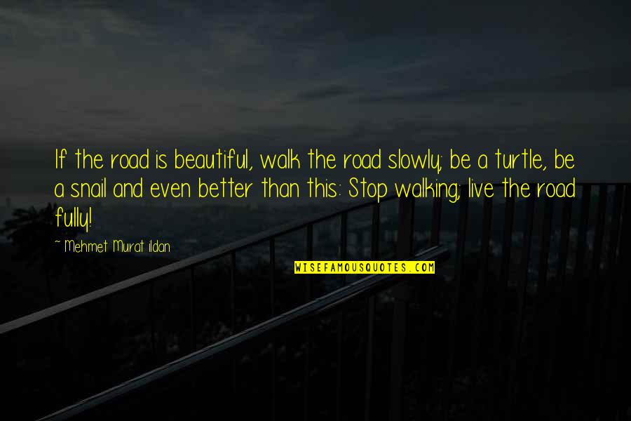 Walking On Road Quotes By Mehmet Murat Ildan: If the road is beautiful, walk the road Walking On Road Quotes By Mehmet Murat Ildan: If the road is beautiful, walk the road
