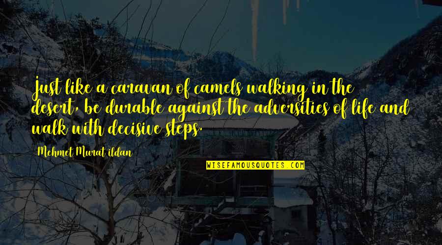 Walking Out Of My Life Quotes By Mehmet Murat Ildan: Just like a caravan of camels walking in