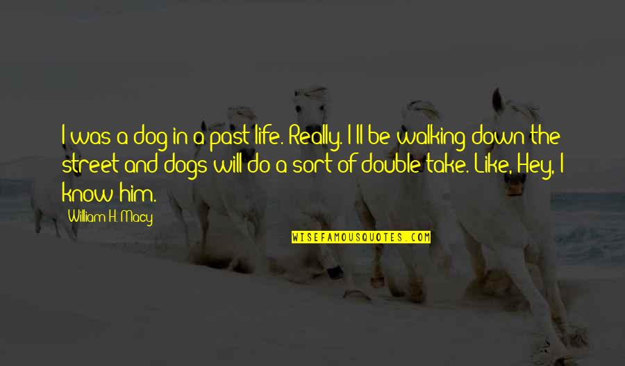 Walking With My Dog Quotes By William H. Macy: I was a dog in a past life.