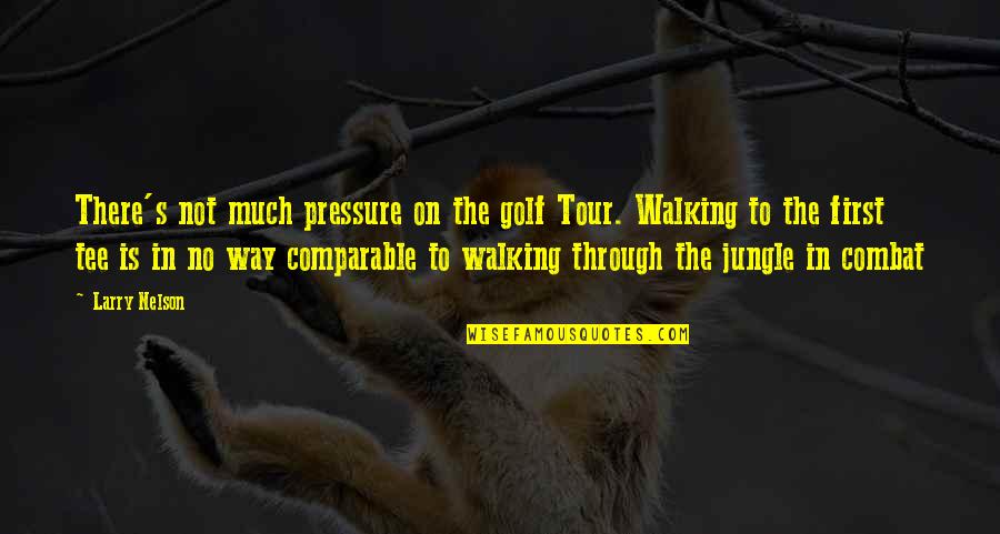 Walking's Quotes By Larry Nelson: There's not much pressure on the golf Tour.