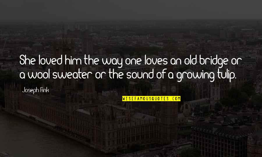 Walklikeagiant Quotes By Joseph Fink: She loved him the way one loves an Walklikeagiant Quotes By Joseph Fink: She loved him the way one loves an