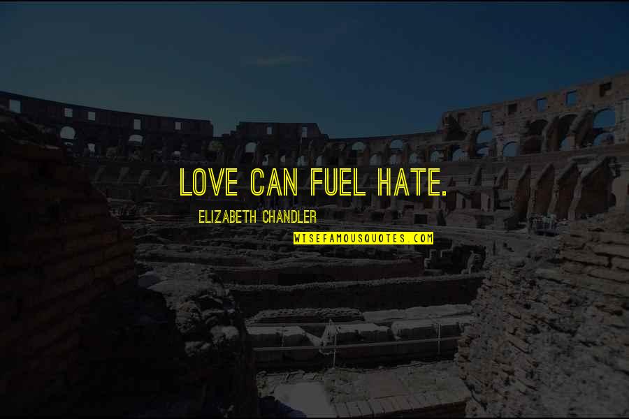 Walks Along The Navesink Quotes By Elizabeth Chandler: Love can fuel hate.