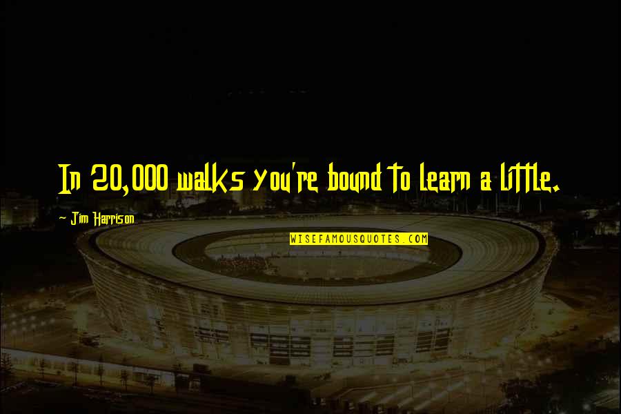 Walks Quotes By Jim Harrison: In 20,000 walks you're bound to learn a Walks Quotes By Jim Harrison: In 20,000 walks you're bound to learn a