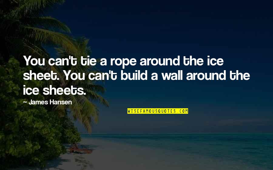 Wall Build Up Quotes By James Hansen: You can't tie a rope around the ice