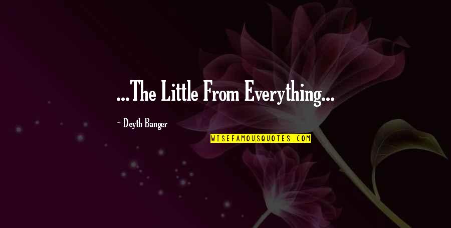 Wall Of Fear Quotes By Deyth Banger: ...The Little From Everything...