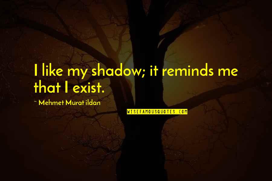 Wall Paints Quotes By Mehmet Murat Ildan: I like my shadow; it reminds me that
