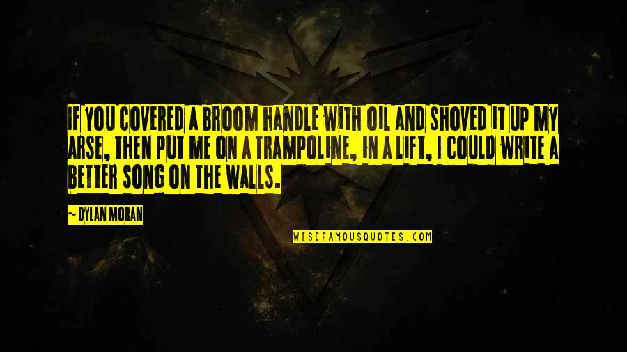 Wall Writing Quotes By Dylan Moran: If you covered a broom handle with oil