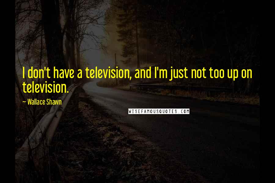 Wallace Shawn quotes: I don't have a television, and I'm just not too up on television.