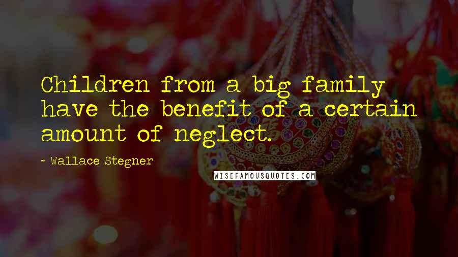 Wallace Stegner quotes: Children from a big family have the benefit of a certain amount of neglect.