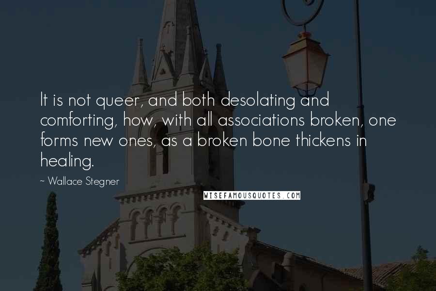 Wallace Stegner quotes: It is not queer, and both desolating and comforting, how, with all associations broken, one forms new ones, as a broken bone thickens in healing.