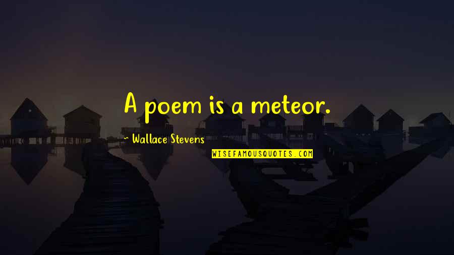 Wallace Stevens Poetry Quotes By Wallace Stevens: A poem is a meteor. Wallace Stevens Poetry Quotes By Wallace Stevens: A poem is a meteor.