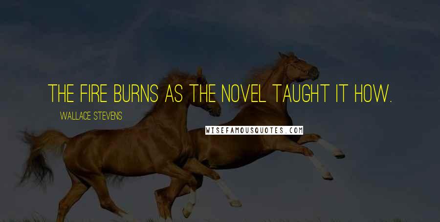 Wallace Stevens quotes: The fire burns as the novel taught it how.