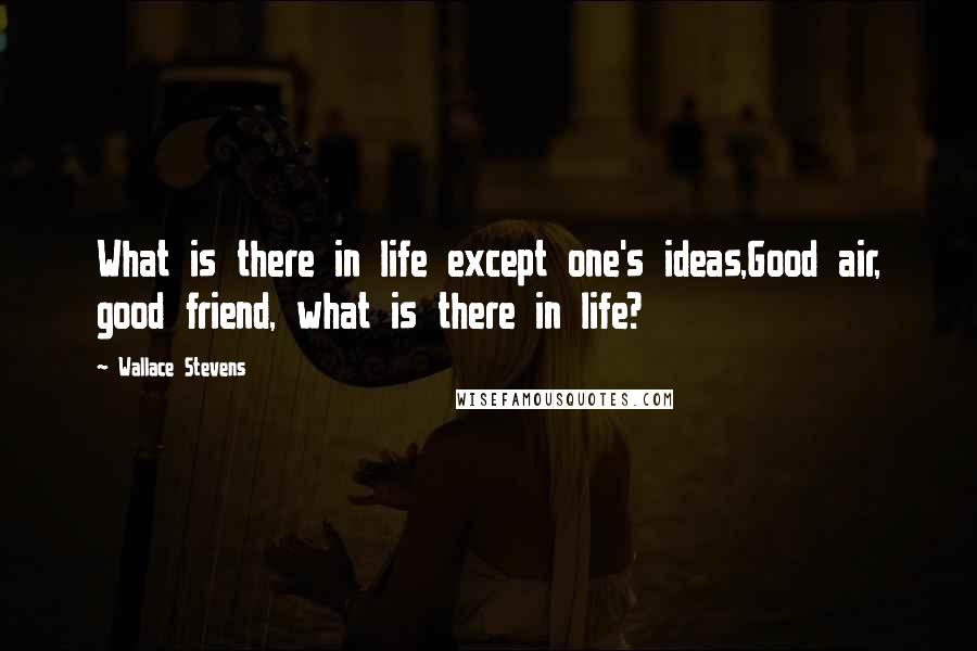 Wallace Stevens quotes: What is there in life except one's ideas,Good air, good friend, what is there in life?