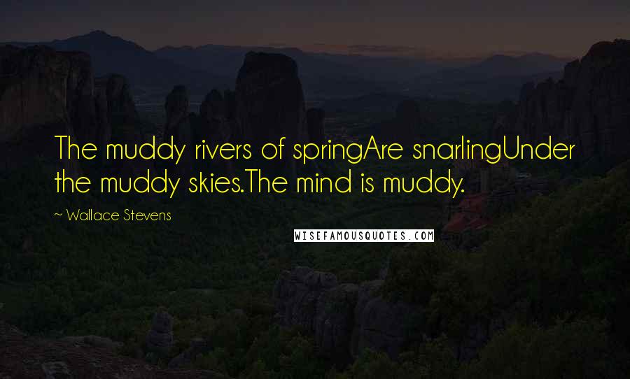 Wallace Stevens quotes: The muddy rivers of springAre snarlingUnder the muddy skies.The mind is muddy.