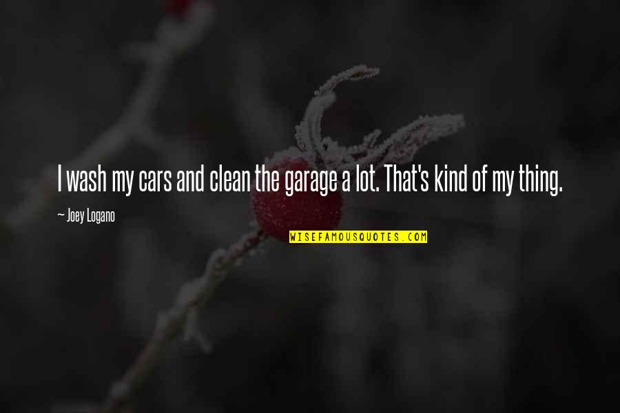 Walleyed Fit Quotes By Joey Logano: I wash my cars and clean the garage