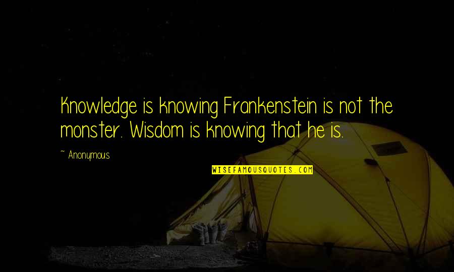 Wallitsch Landscaping Quotes By Anonymous: Knowledge is knowing Frankenstein is not the monster.