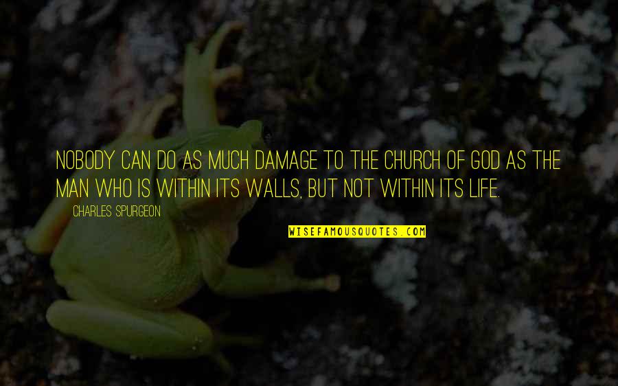 Walls In Life Quotes By Charles Spurgeon: Nobody can do as much damage to the