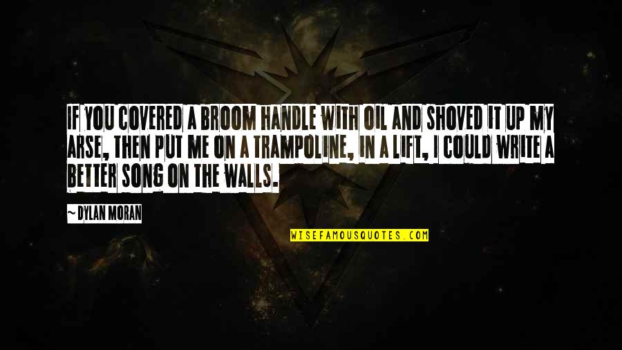 Walls The Song Quotes By Dylan Moran: If you covered a broom handle with oil Walls The Song Quotes By Dylan Moran: If you covered a broom handle with oil