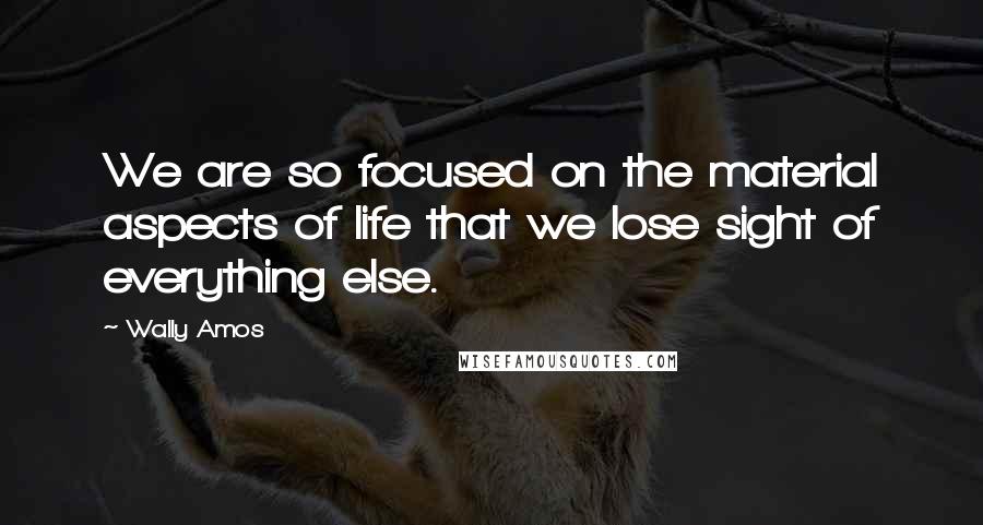 Wally Amos quotes: We are so focused on the material aspects of life that we lose sight of everything else.