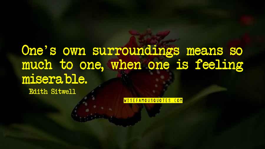 Walpurga Stolpner Quotes By Edith Sitwell: One's own surroundings means so much to one,