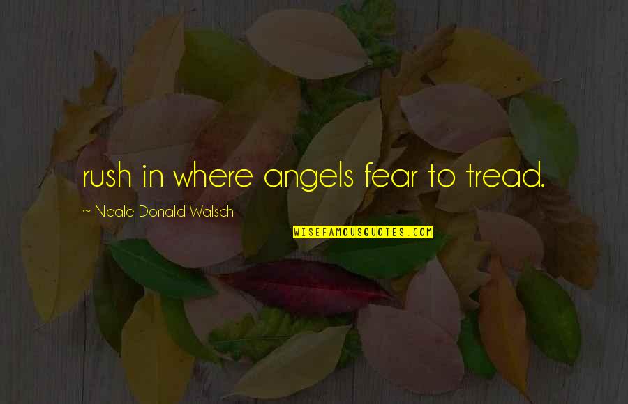 Walsch Quotes By Neale Donald Walsch: rush in where angels fear to tread.
