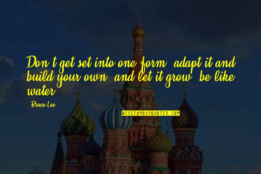 Walt Clyde Quotes By Bruce Lee: Don't get set into one form, adapt it