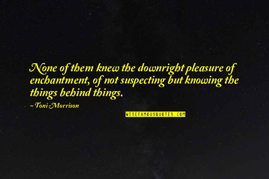 Walt Disney World Ride Quotes By Toni Morrison: None of them knew the downright pleasure of Walt Disney World Ride Quotes By Toni Morrison: None of them knew the downright pleasure of