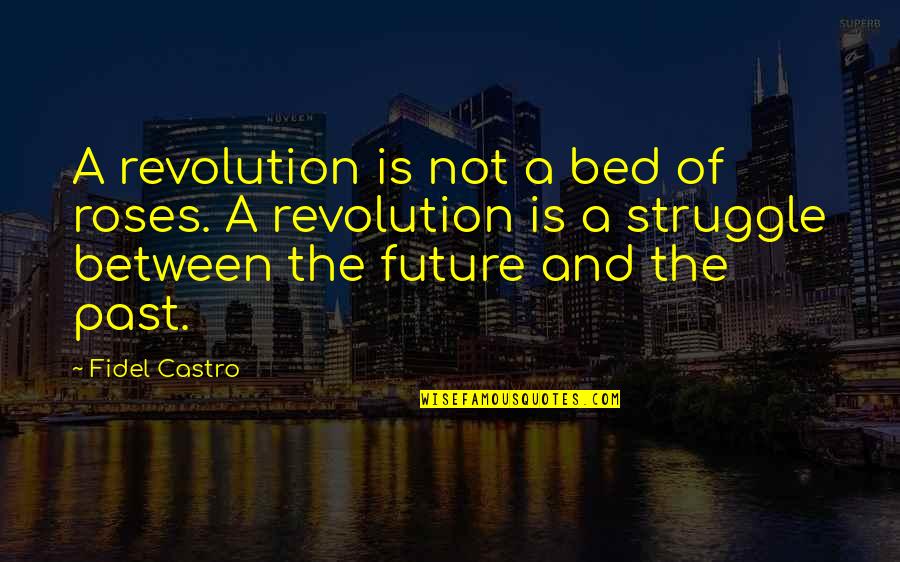 Walt Jr Best Quotes By Fidel Castro: A revolution is not a bed of roses.