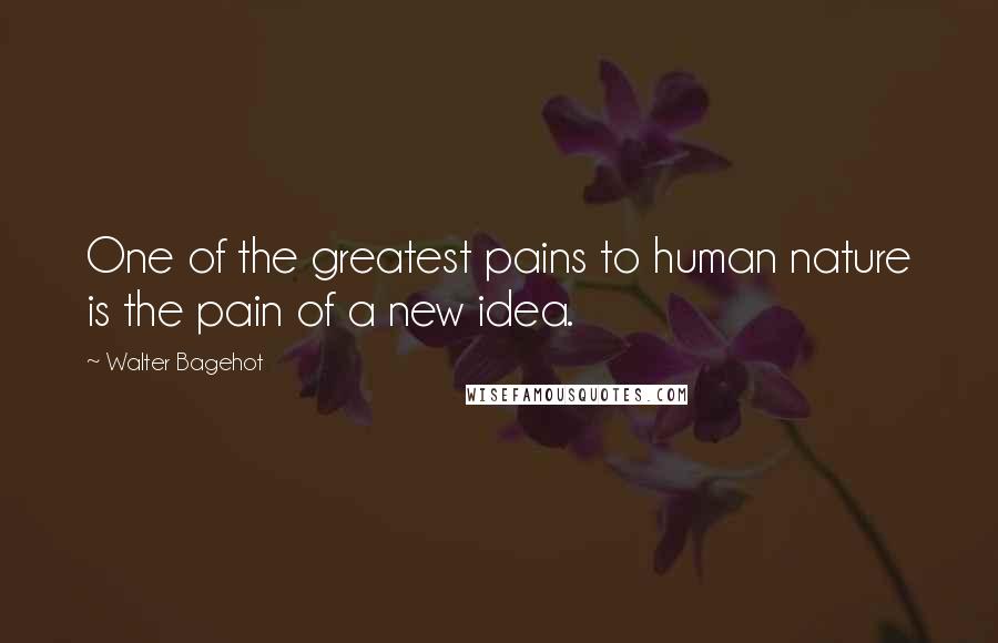 Walter Bagehot quotes: One of the greatest pains to human nature is the pain of a new idea.