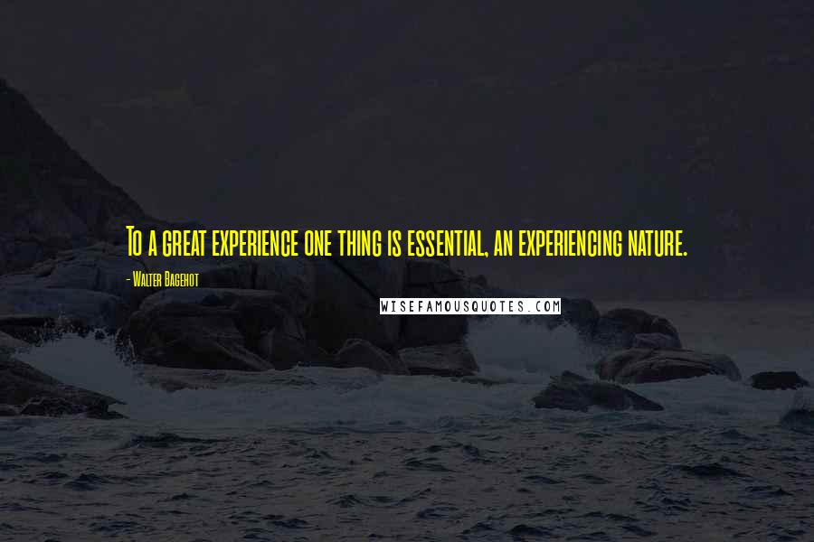 Walter Bagehot quotes: To a great experience one thing is essential, an experiencing nature.