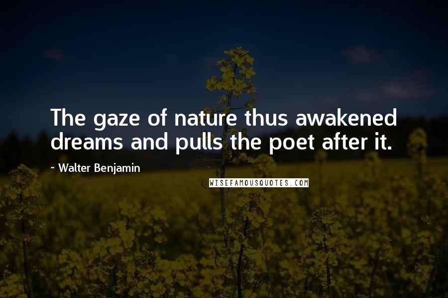 Walter Benjamin quotes: The gaze of nature thus awakened dreams and pulls the poet after it.