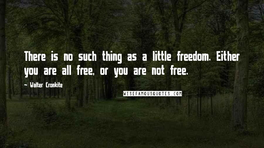 Walter Cronkite quotes: There is no such thing as a little freedom. Either you are all free, or you are not free.