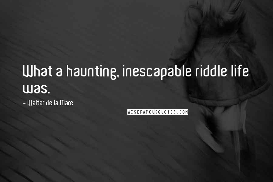 Walter De La Mare quotes: What a haunting, inescapable riddle life was.