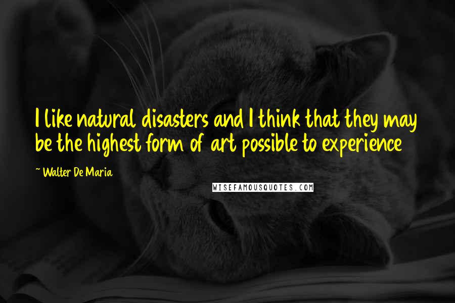 Walter De Maria quotes: I like natural disasters and I think that they may be the highest form of art possible to experience Walter De Maria quotes: I like natural disasters and I think that they may be the highest form of art possible to experience