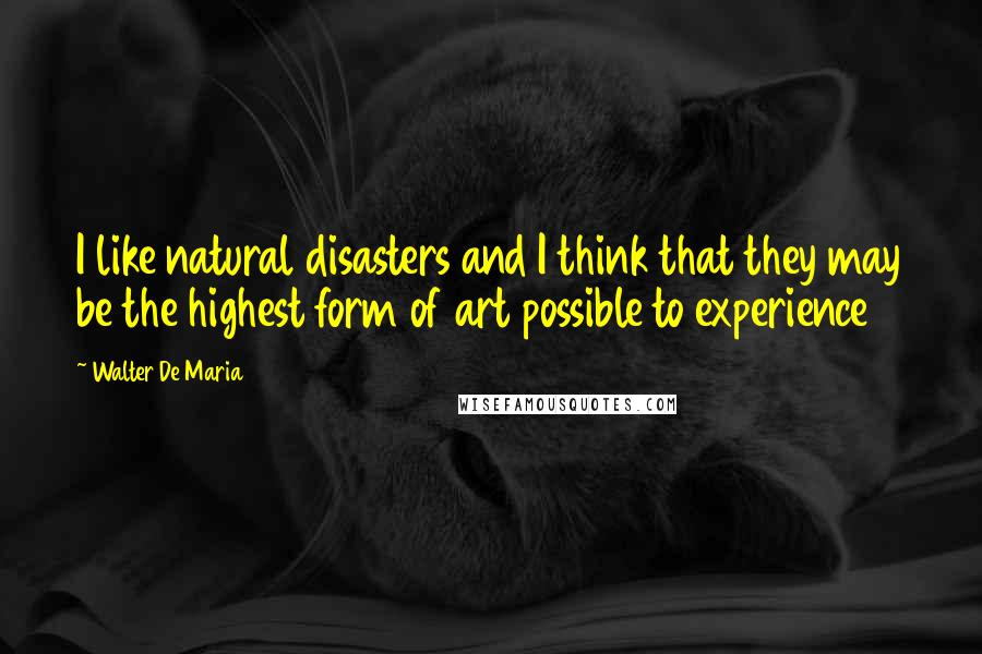 Walter De Maria quotes: I like natural disasters and I think that they may be the highest form of art possible to experience