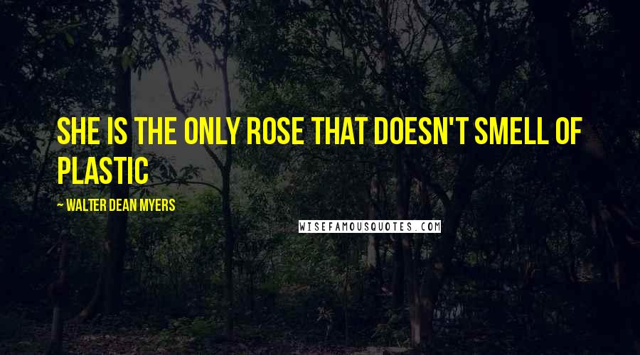 Walter Dean Myers quotes: She is the only rose that doesn't smell of plastic