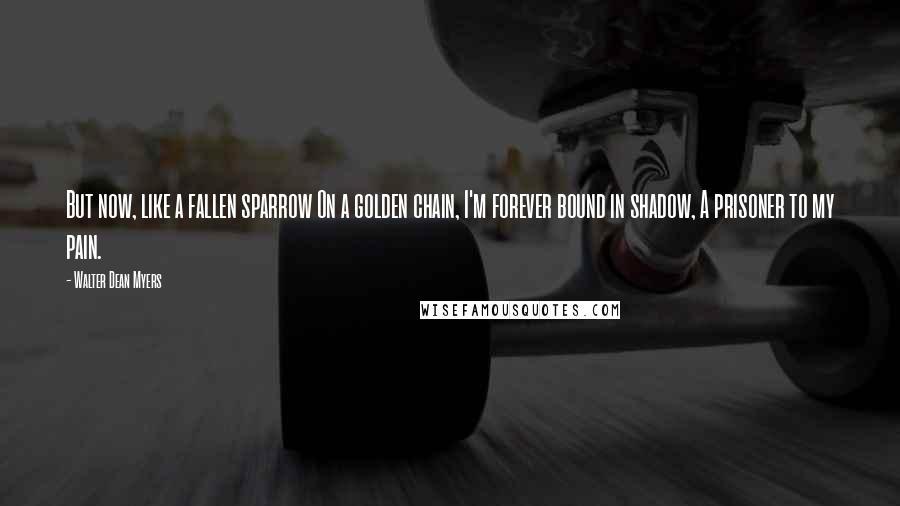 Walter Dean Myers quotes: But now, like a fallen sparrow On a golden chain, I'm forever bound in shadow, A prisoner to my pain.