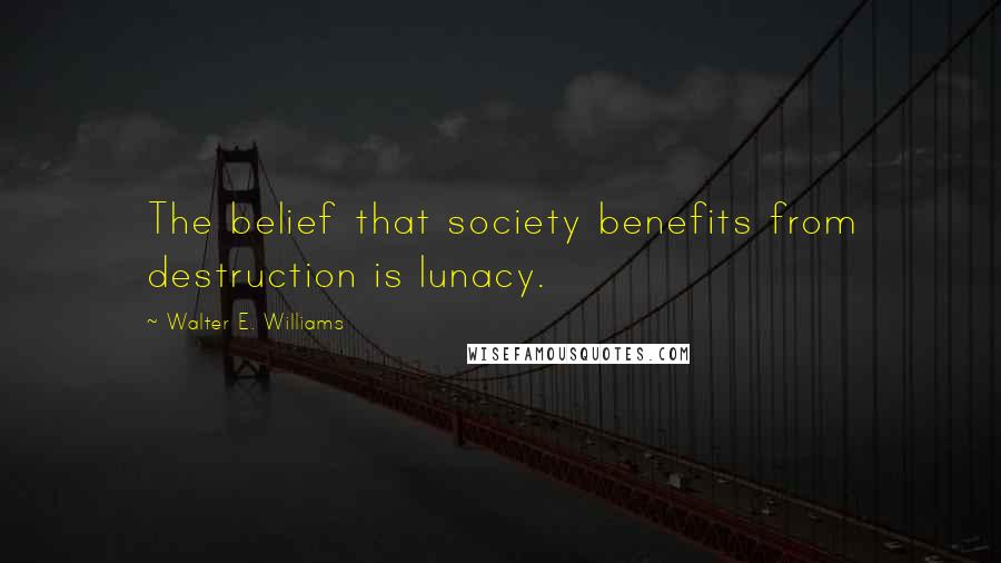 Walter E. Williams quotes: The belief that society benefits from destruction is lunacy.