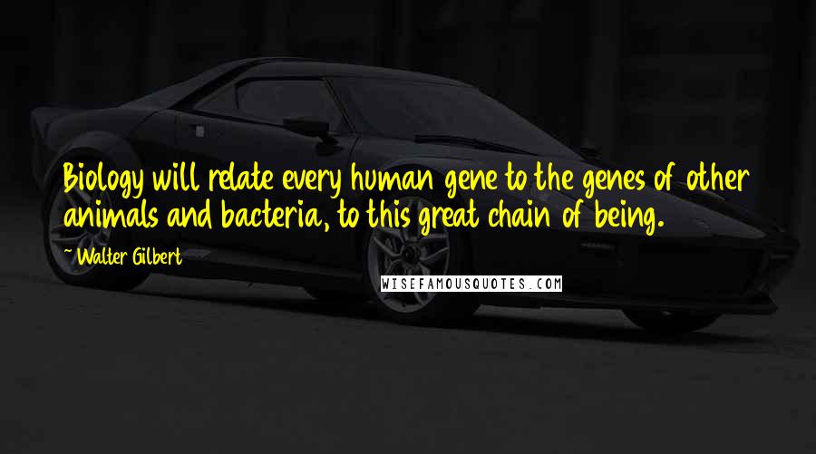 Walter Gilbert quotes: Biology will relate every human gene to the genes of other animals and bacteria, to this great chain of being.