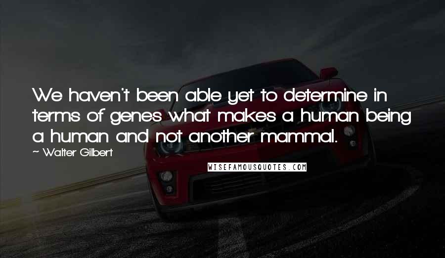 Walter Gilbert quotes: We haven't been able yet to determine in terms of genes what makes a human being a human and not another mammal.