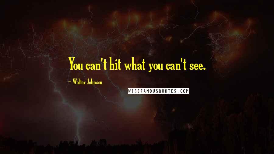 Walter Johnson quotes: You can't hit what you can't see.