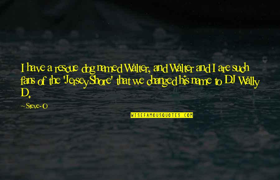 Walter O'malley Quotes By Steve-O: I have a rescue dog named Walter, and