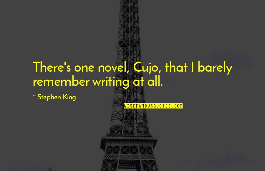 Walter Ong Quotes By Stephen King: There's one novel, Cujo, that I barely remember