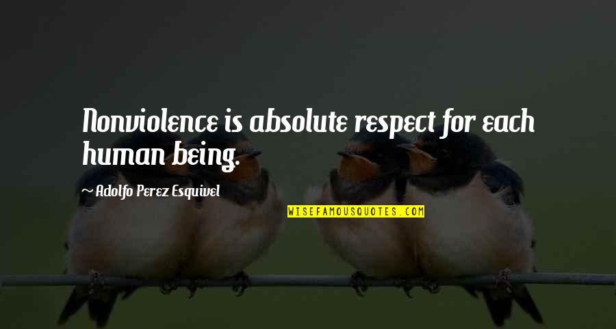 Walter Sisulu Quotes By Adolfo Perez Esquivel: Nonviolence is absolute respect for each human being.