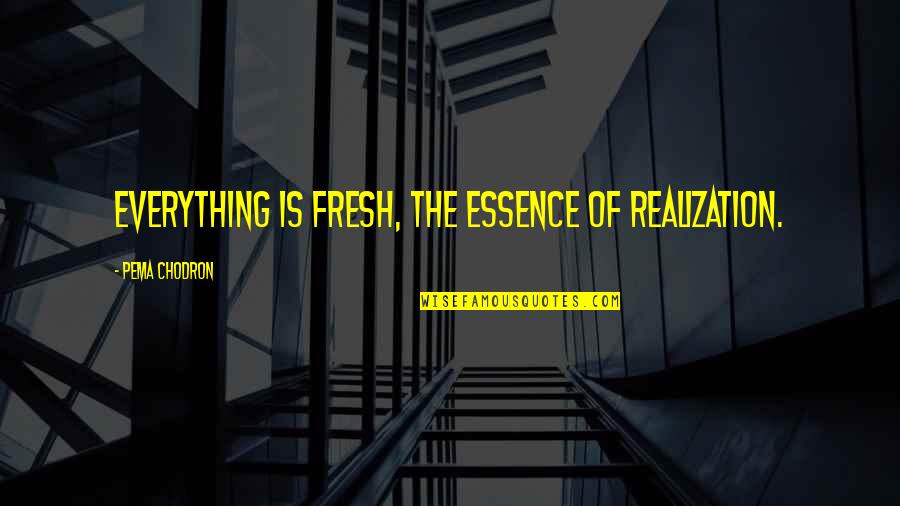 Walter White Junior Quotes By Pema Chodron: Everything is fresh, the essence of realization.