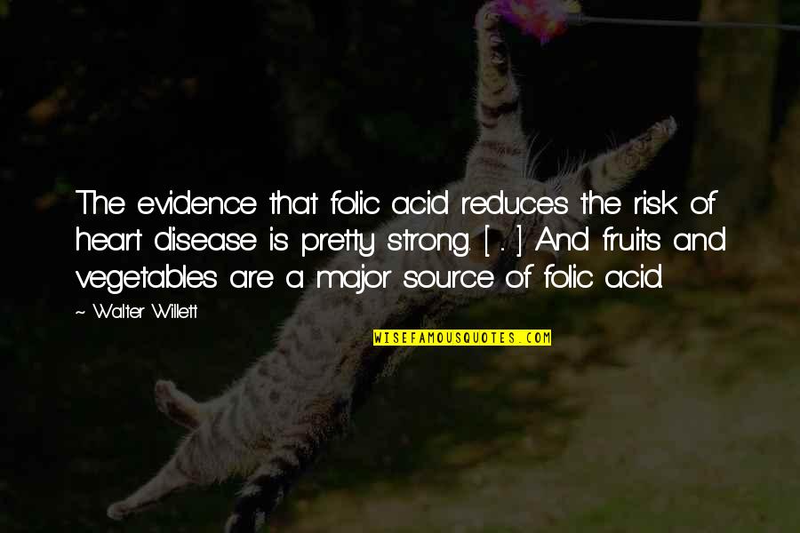 Walter Willett Quotes By Walter Willett: The evidence that folic acid reduces the risk