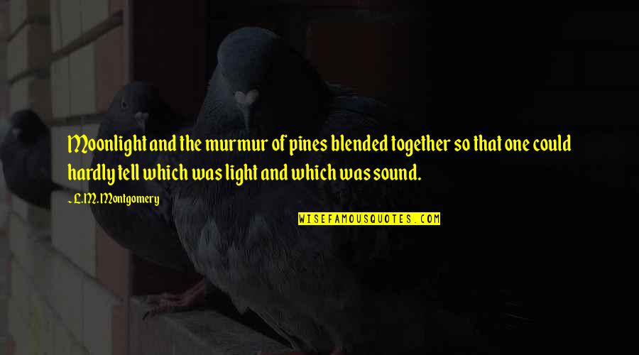 Walterov Quotes By L.M. Montgomery: Moonlight and the murmur of pines blended together Walterov Quotes By L.M. Montgomery: Moonlight and the murmur of pines blended together