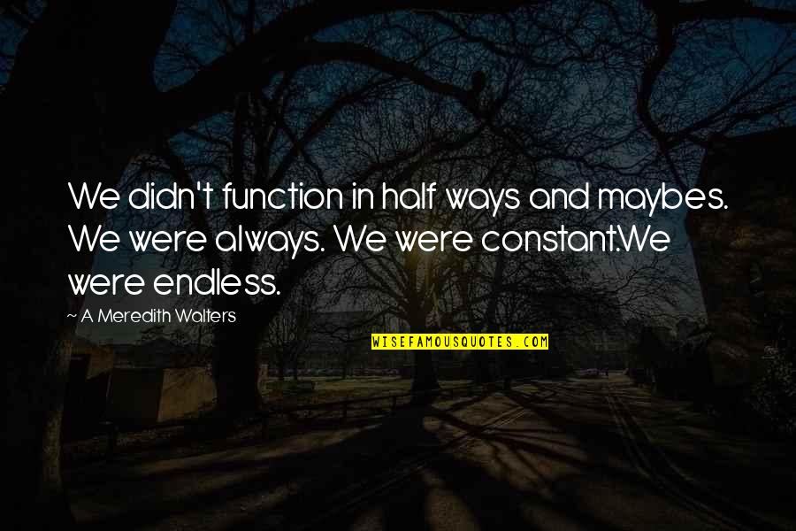 Walters Quotes By A Meredith Walters: We didn't function in half ways and maybes.