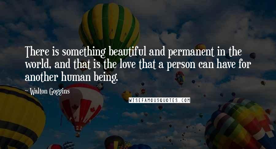 Walton Goggins quotes: There is something beautiful and permanent in the world, and that is the love that a person can have for another human being.